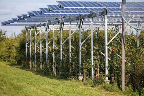 Zyperns Bio-Landwirtschaft übertrifft Ziel für 2025: Ein Meilenstein für nachhaltige Entwicklung